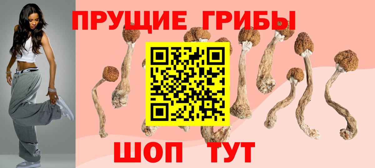 Галлюциногенные грибы Magic Shrooms  Вход с VPN  Феодосия 